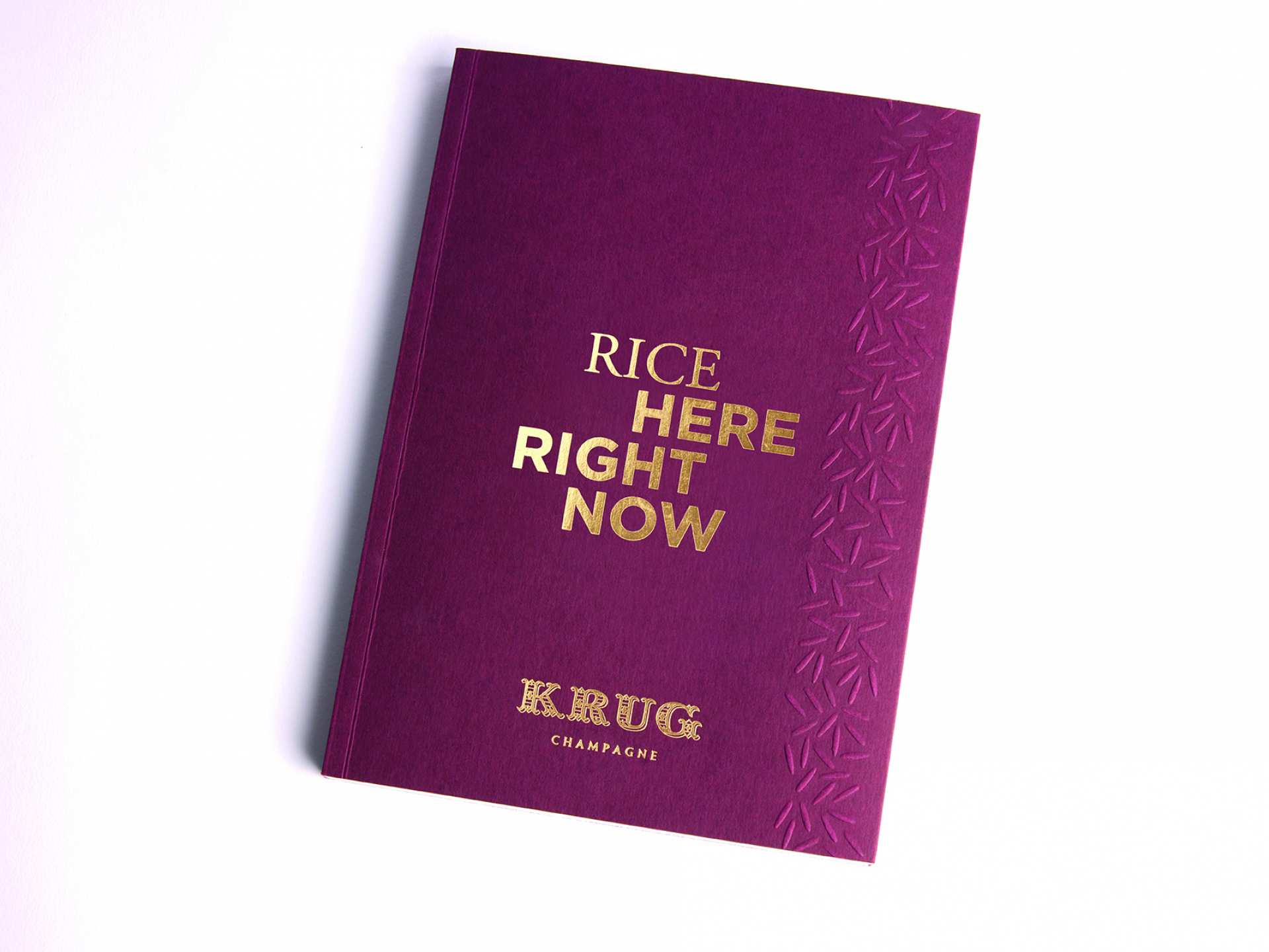 Krug x Rice cookbook
