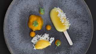 Solero with coconut and clementine