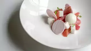 Pink rhubarb lightly poached and served with yoghurt sorbet and citrus from Roux at the Landau