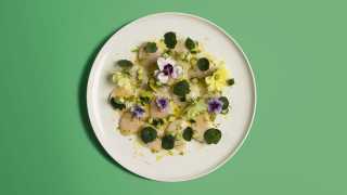 Scallop crudo with chilli, garden flowers and nasturtium leaves