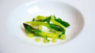 Chilled asparagus veloute, creme fraiche and chervil