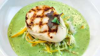 Grilled scallops with crab and herb velout