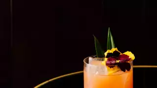 Cocktail at Disrepute