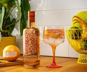 Silent Pool Rare Citrus gin recipes | the bottle and a coppa glass